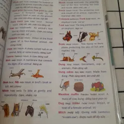 PEHAL THE START. Học từ vựng tiếng Anh bằng hình ảnh Chủ đề.Cb VIKRANT ROBIN 594678