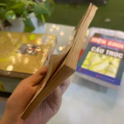 MẪU CÂU ĐỐI HOÀNH PHI THƯỜNG DÙNG - TÂN VIỆT, THIỀU PHONG 1030619