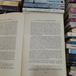 LA TRADITION VIETNAMIENNE: UN ÉTAT NATIONAL AU SEIN DE LA CIVILISATION CHINOISE 732019