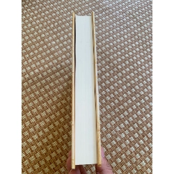 Phác Thảo về một triết học cho lịch sử thế giới ( bìa cứng 95% 2020) Tác giả Nguyễn Hữu Liêm STB2905 Triết Học 351780