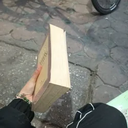 108 Nhà Văn Thế Kỷ XX- XXI - Đoàn Tử Huyến 759244