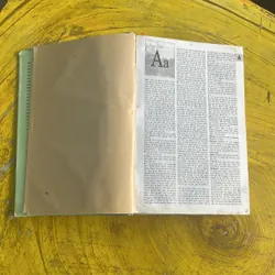 TỪ ĐIỂN ANH - VIỆT ENGLISH - VIETNAMESE DICTIONARY  697198