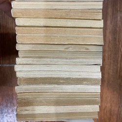 Hiệp Sĩ Nữ Hoàng full bộ 17 tập (k1) 518521