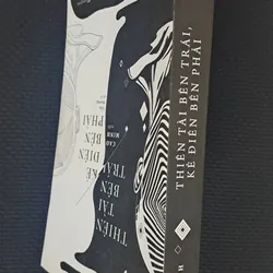 Thiên tài bên trái, kẻ điên bên phải - Cao Minh 722285