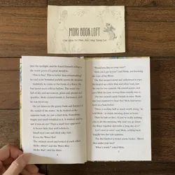 Sách ngoại văn The Wind in The Willow, Used, Bìa cứng 577040