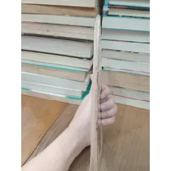 Gà trống đẻ - Tú Sót 706810