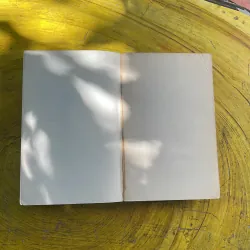 CONSUMERISM the eternal triangle Business, Government and Consumers 973724