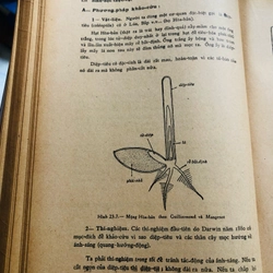 📚 SINH HỌC THỰC VẬT (Phạm Hoàng Hộ) 📚 503986