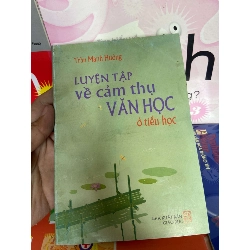 Luyện Tập Về Cảm Thụ Văn Học Ở Tiểu Học - Trần Mạnh Hưởng 2005 Tham khảo - luyện thi VAVO-AK1T2