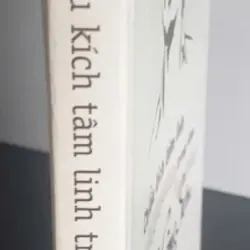 Sách Chiều Kích Tâm Linh Trong Nhạc Trịnh Công Sơn 675257