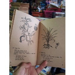35 cây thuốc dễ tìm trị 7 bịnh thường gặp - Nguyễn Văn Xông - 1986 mới 80% ố - KHOA HỌC ĐỜI SỐNG - HCM0111 920625
