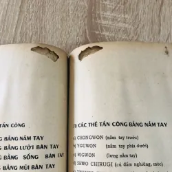KỸ THUẬT THÁI CỰC ĐẠO – 1968 1043928