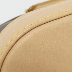 Túi Louis Vuitton Monogram Alma PM M53151 619793