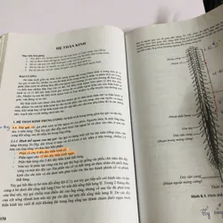 GIẢI PHẪU HỌC HỆ THỐNG  675342