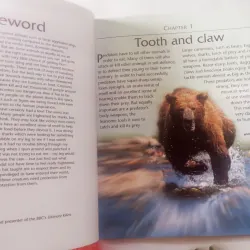 Dangerous Creatures 1002054