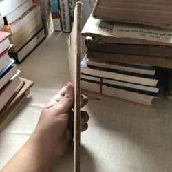 Từ góc sân nhà em-Trần Đăng Khoa 975874