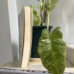 Sự lựa chọn - Edith Eva Eger 750725