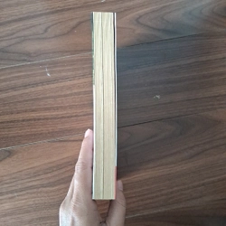 Người xa lạ và em 517173