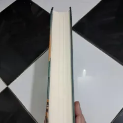 The Path yo the future 995613