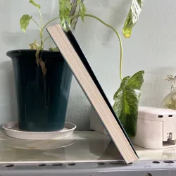 Cư xử như đàn bà, suy nghĩ như đàn ông 746097