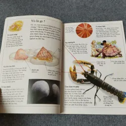 ÁO GIÁP ĐỘNG VẬT 720729