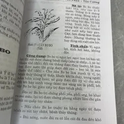 TỰ CHỮA BỆNH BẰNG CÂY THUỐC NAM THÔNG DỤNG DỄ TÌM - TẤN CƯỜNG, NGUYỄN VĂN PHẤN 785861