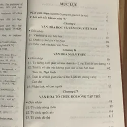 Cơ sở văn hoá Việt Nam, Trần Ngọc Thêm 713186