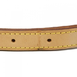 Túi xách vai Louis Vuitton Monogram Viva Cite PM M51165 608725