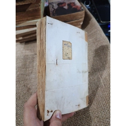 Ngọn tơ hồng - Nhật Hạnh 2006 mới 70% (Văn học Việt Nam) HLSC2404 1028463