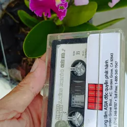 Băng Cassette Nhạc Liên Khúc Chiều Mưa 2 957104