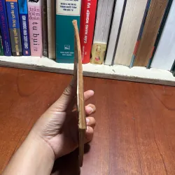 II Tự Trị Bệnh Bằng Day Ấn Vùng Phản Xạ Trên Bàn Chân - MILDRED CARTER (Mỹ) - 1988 799618