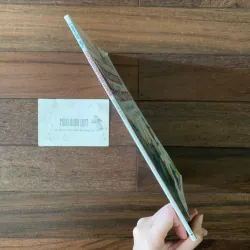 Sách ngoại văn I Wonder Why: Triceratops Had Horns, Used, Bìa mềm 756489