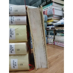 Đất rừng phương Nam – Cá bống mú – Hoa hướng dương – Đoàn Giỏi 592419