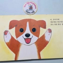 Set sách boardbook 푸름이 까꿍 그림책- Ehon Nhật Bản dịch sang tiếng Hàn 478146