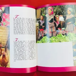 Tây Bắc Việt Nam 591003