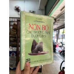 Non bộ các trường phái đương đại - Đỗ Xuân Hải