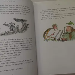 Fantastic Mr Fox 1005343