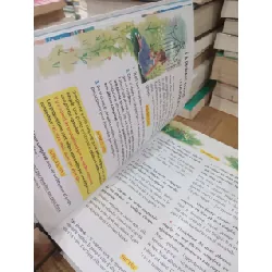 Ma grammaire du CP au CM2 - J. Ferry, Ch. Pierre 726545