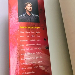 📘 GIẢI MÃ TÂM TRÍ – KIỂM SOÁT CẢM XÚC (David Eagleman) 502880