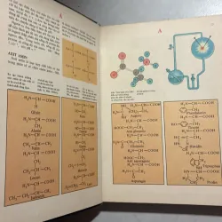 Từ điển Bách khoa nhà hóa học trẻ tuổi - 1990s 776763