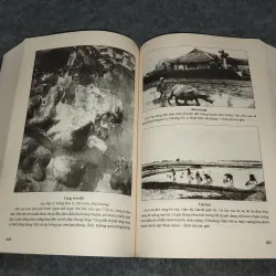 NGƯỜI NÔNG DÂN CHÂU THỔ BẮC KỲ. NGHIÊN CỨU ĐỊA LÝ NHÂN VĂN - PIERRE GOUROU 701091