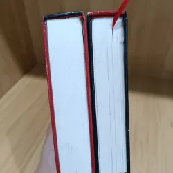 Nhạc phi diễn nghĩa bìa cứng  1031688