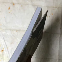 Chó Xanh Lông Dài - Hwang Sun Mi 899958