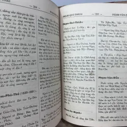 VIỆT NAM DANH NHÂN TỰ ĐIỂN - NGUYỄN HUYỀN ANH 995480
