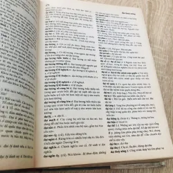 TỪ ĐIỂN TIẾNG VIỆT 1000538