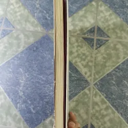 Nghệ thuật xử An Nam - Henri Gourdon 712408