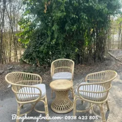 Ghế mây đơn cafe 785864