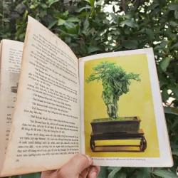 Bonsai Cây Kiểng Cổ - Trần Hợp 925345