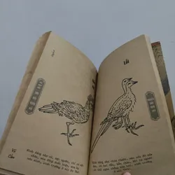 Sơn Hải Kinh Đồ 592734