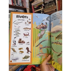 HIDE AND SEEKS ANIMALS : 300 Animals to Find! 201906